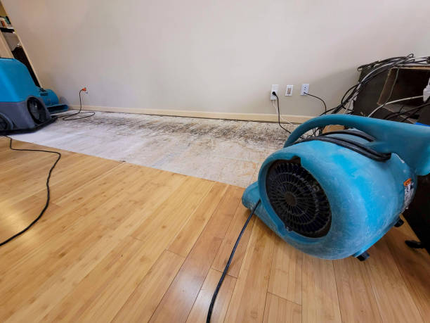 Professional Water Removal technician working in Hudson, IL